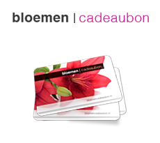 Bloemen Cadeaubon Waar Inleveren - Bloemen